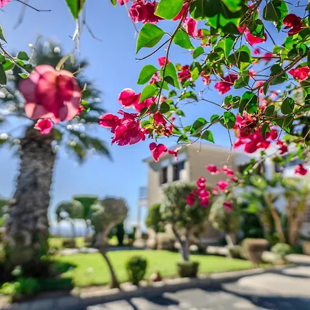 Mountain/sea View 6 Bedroom In Chirokitia Larnaca